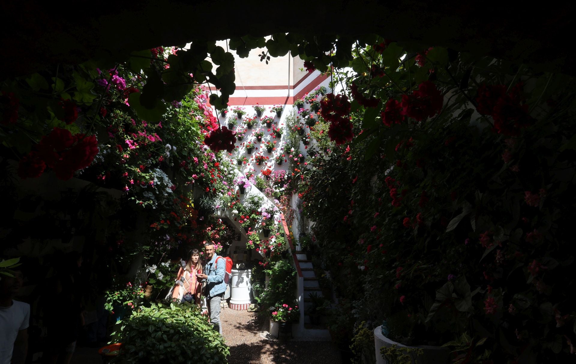Un paseo por los patios más clásicos de Córdoba, en imágenes