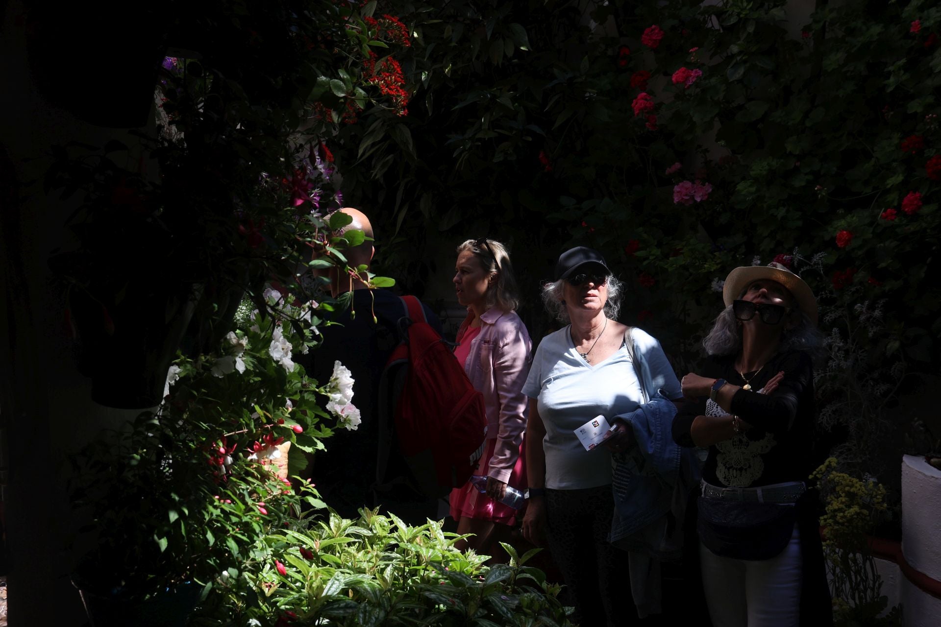 Un paseo por los patios más clásicos de Córdoba, en imágenes