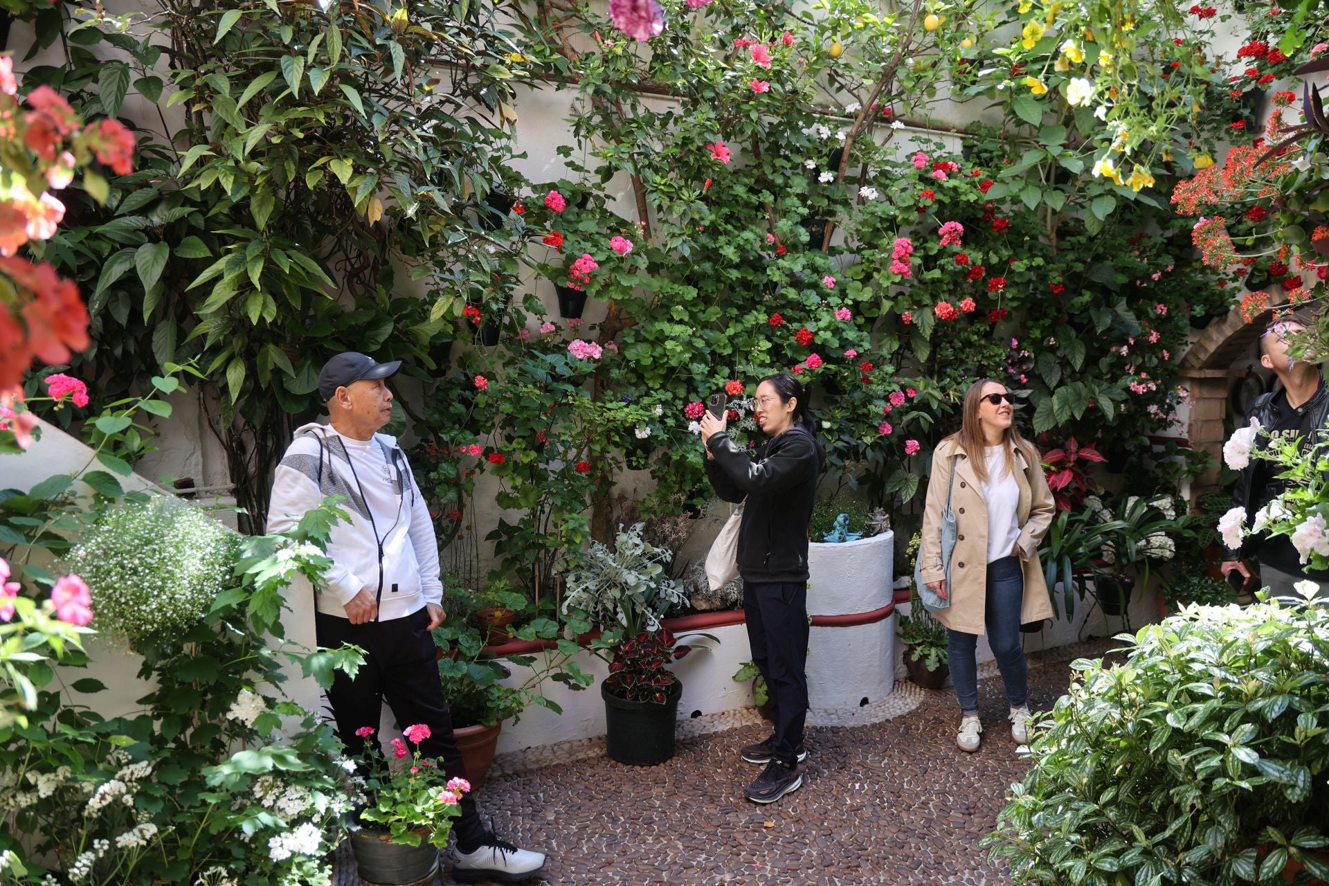 Un paseo por los patios más clásicos de Córdoba, en imágenes