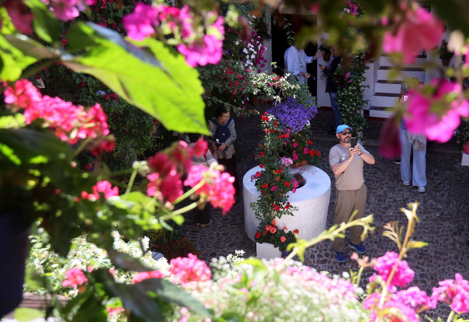 Un paseo por los patios más clásicos de Córdoba, en imágenes