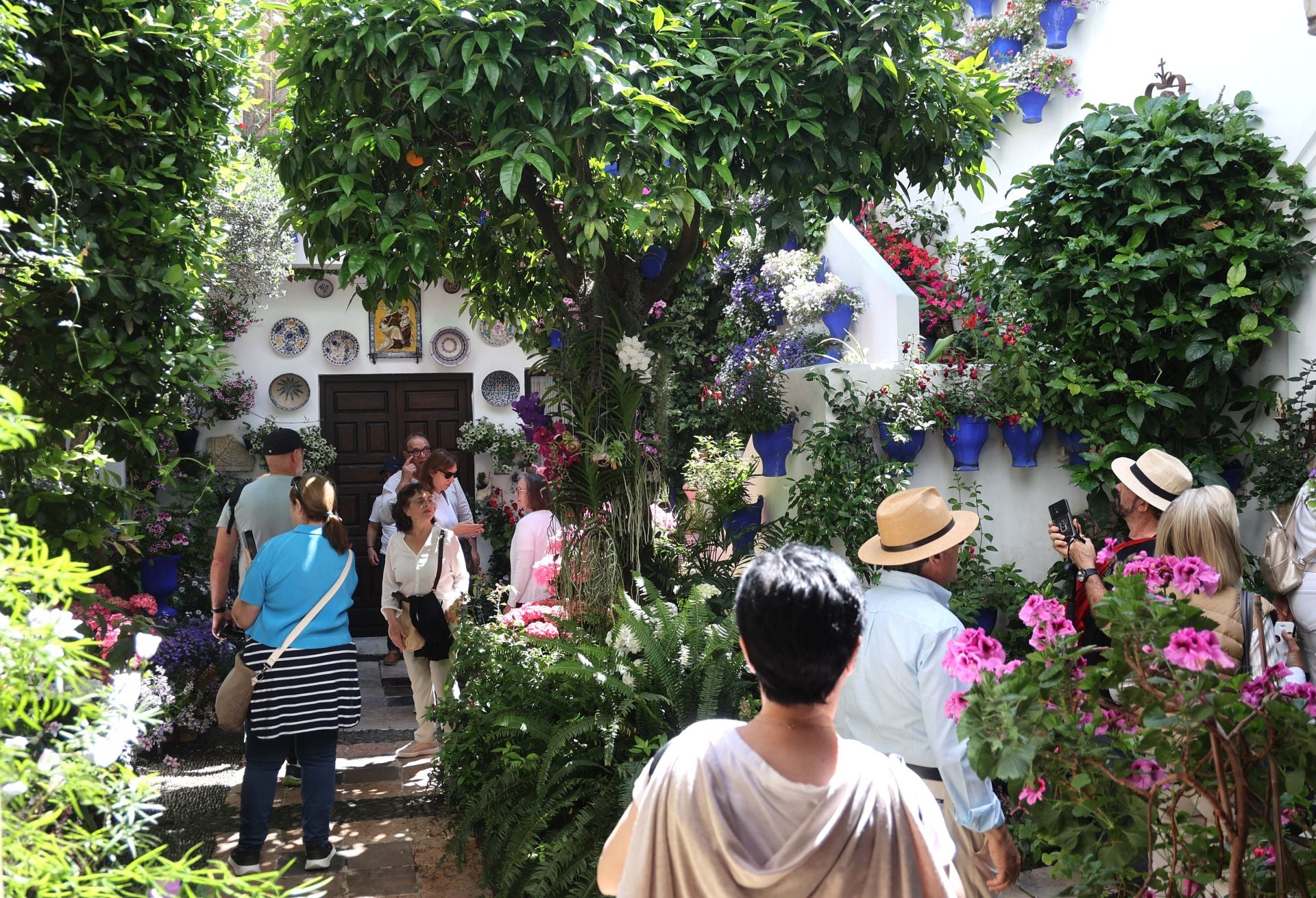 Un paseo por los patios más clásicos de Córdoba, en imágenes
