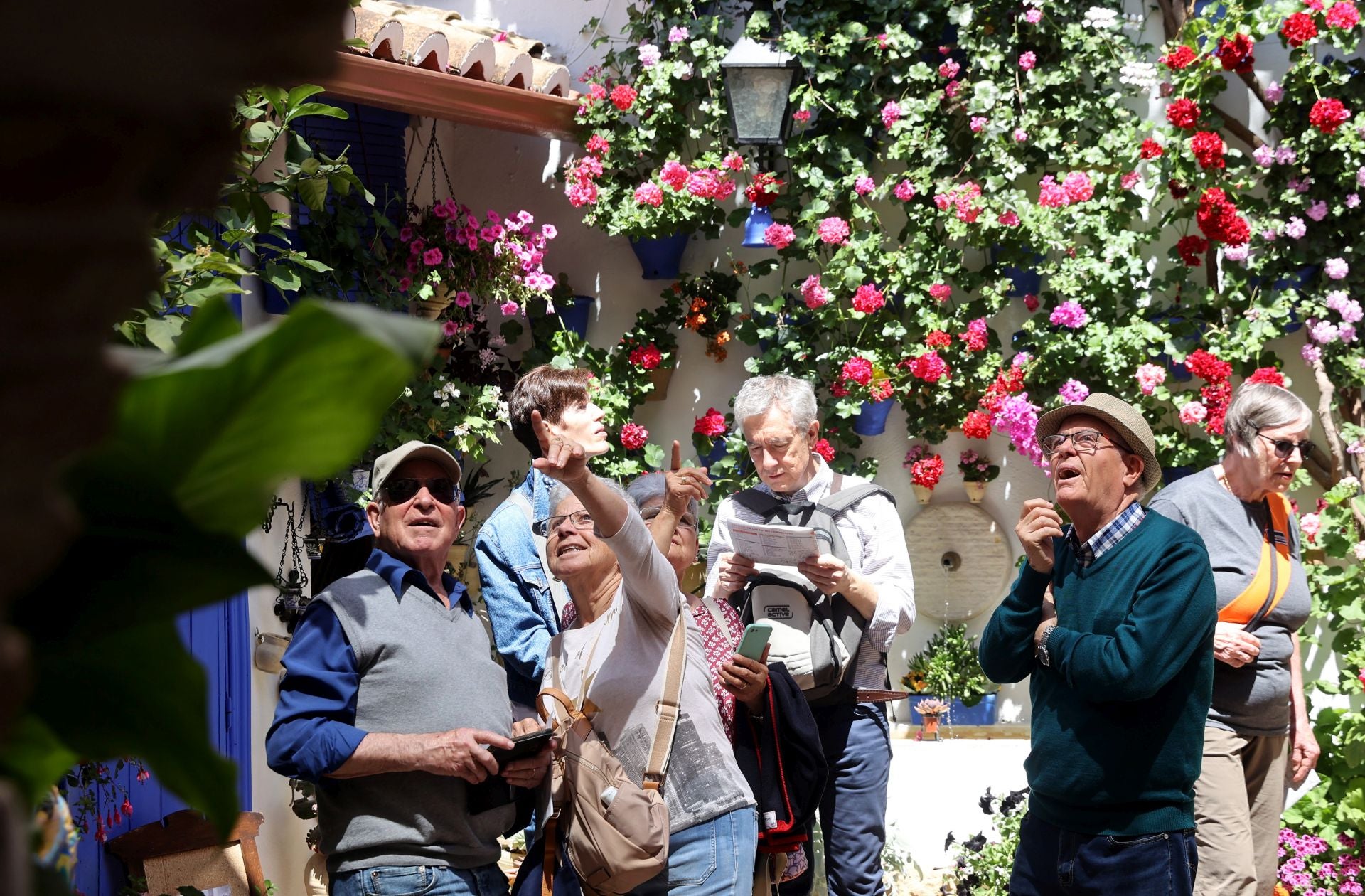 Un paseo por los patios más clásicos de Córdoba, en imágenes