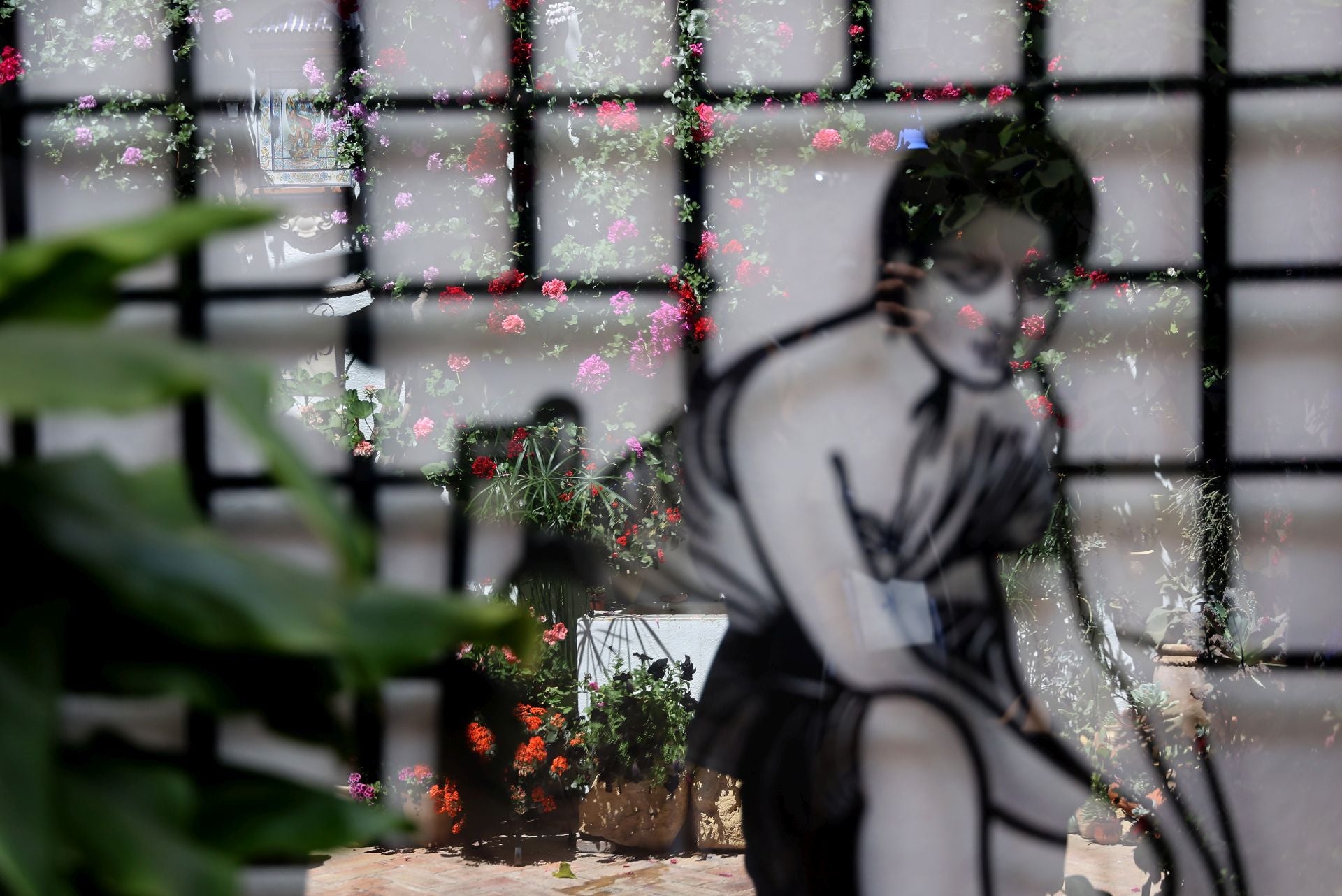 Un paseo por los patios más clásicos de Córdoba, en imágenes