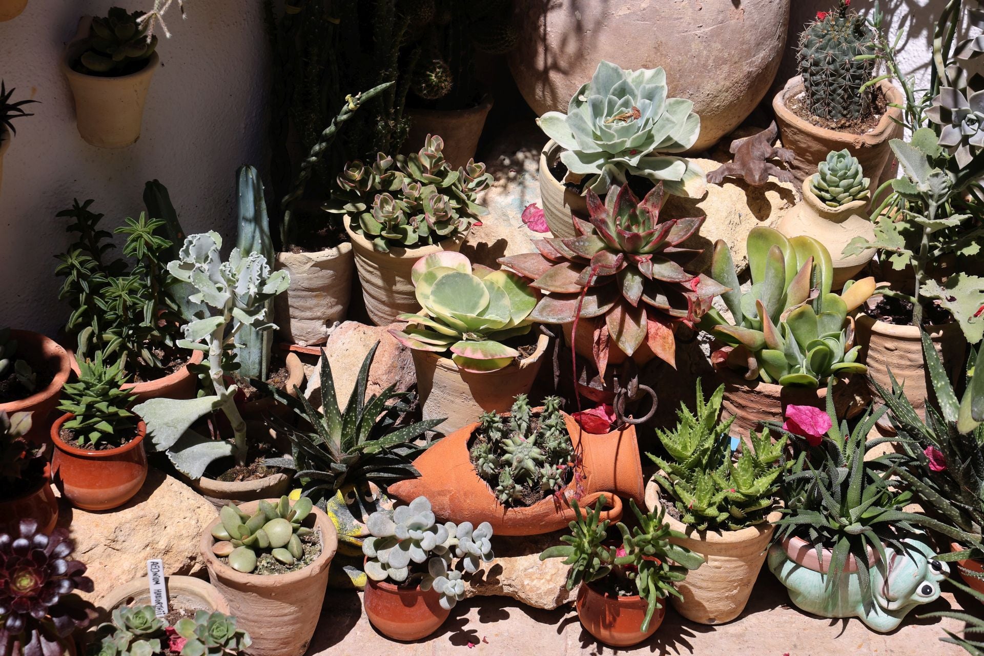 Un paseo por los patios más clásicos de Córdoba, en imágenes