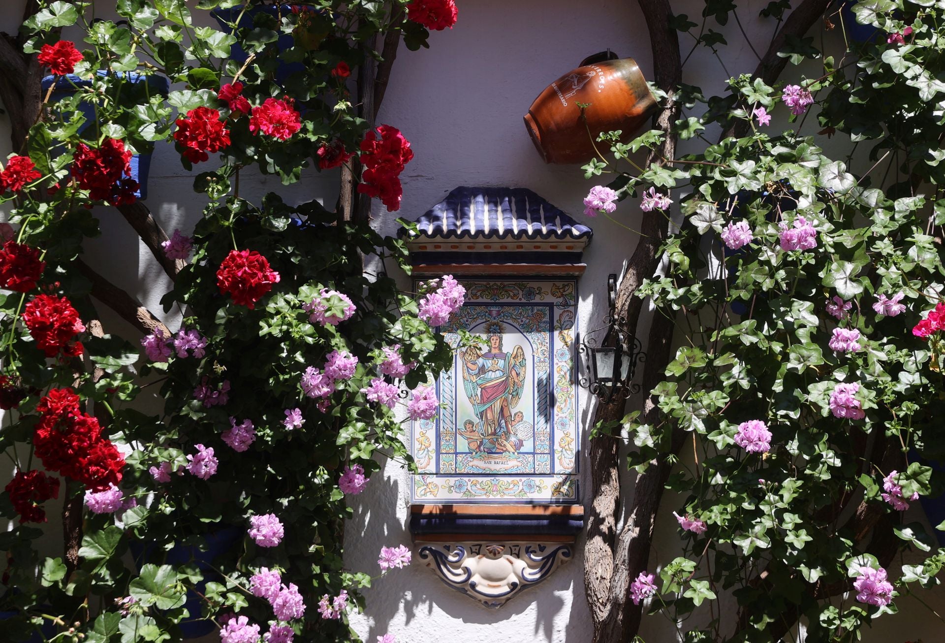 Un paseo por los patios más clásicos de Córdoba, en imágenes