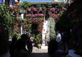 Mejorar la excelencia: cómo los grandes Patios de Córdoba cambian siendo los mismos