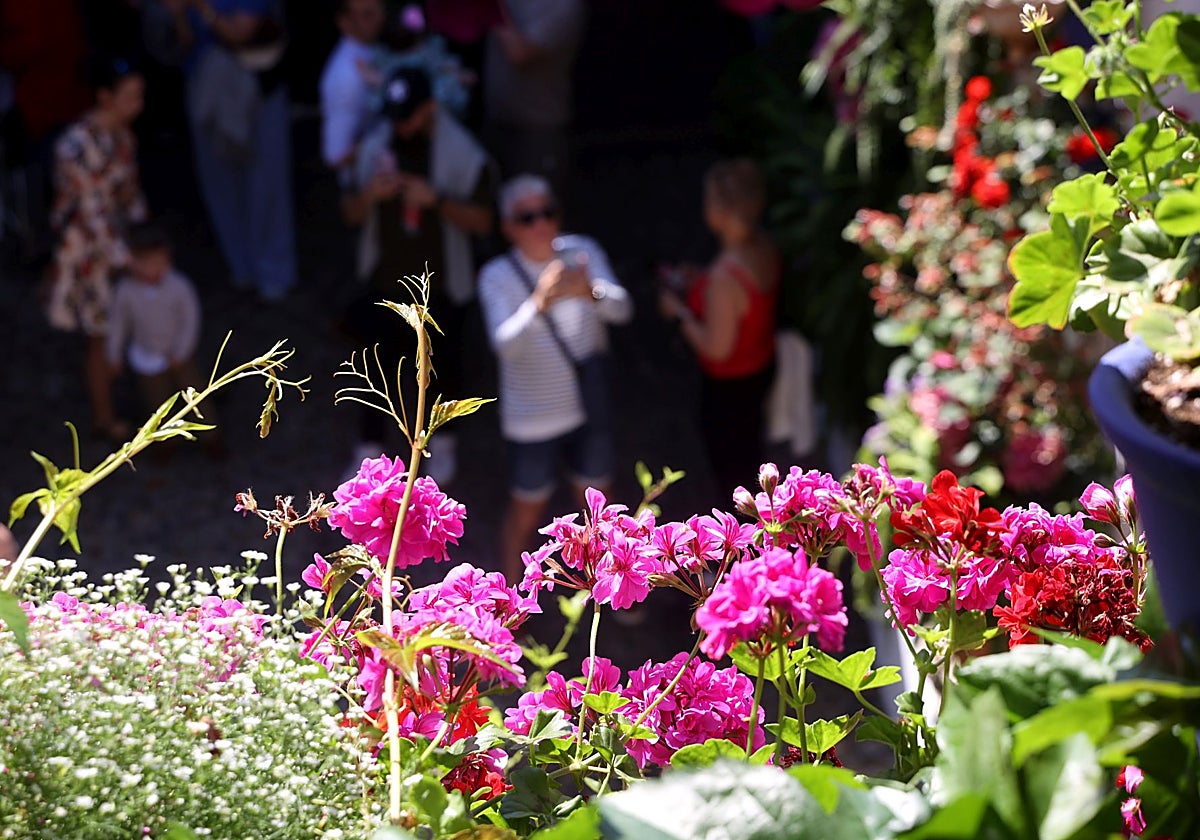 Flores en San Basilio, 44