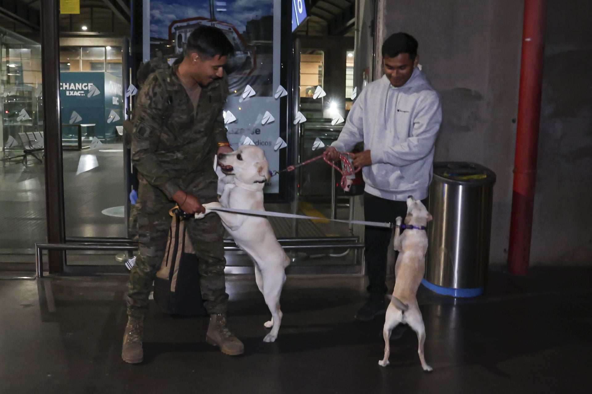 En imágenes, el emotivo regreso de El Líbano de los primeros militares de la BRI X de Córdoba