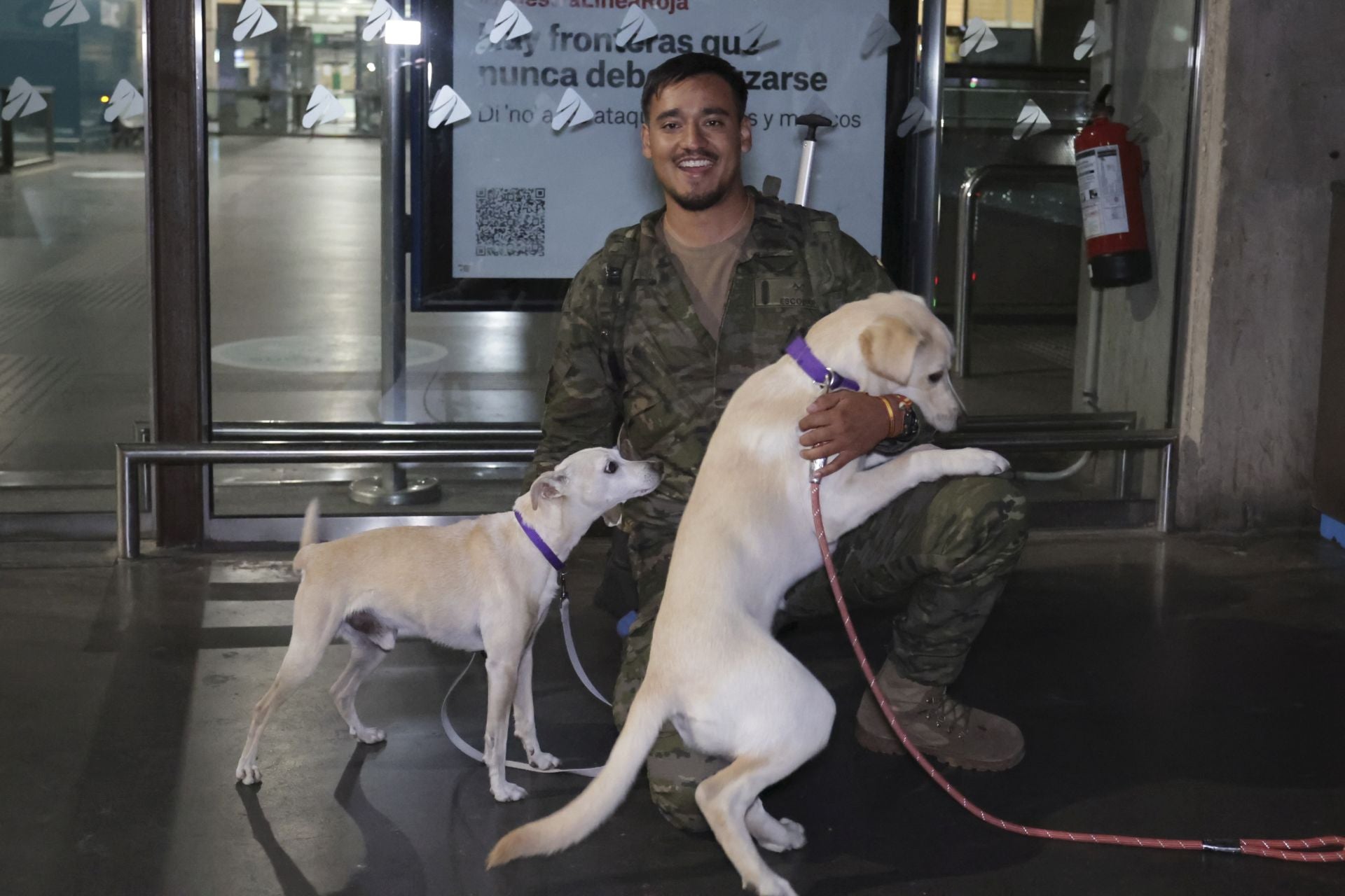 En imágenes, el emotivo regreso de El Líbano de los primeros militares de la BRI X de Córdoba