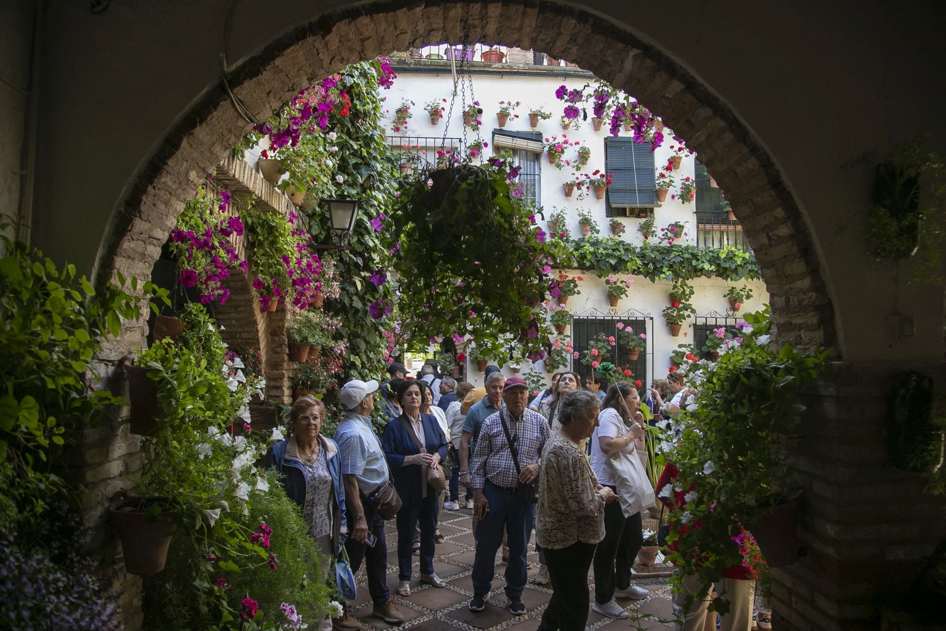 Los detalles más personales de los Patios de Córdoba, en imágenes