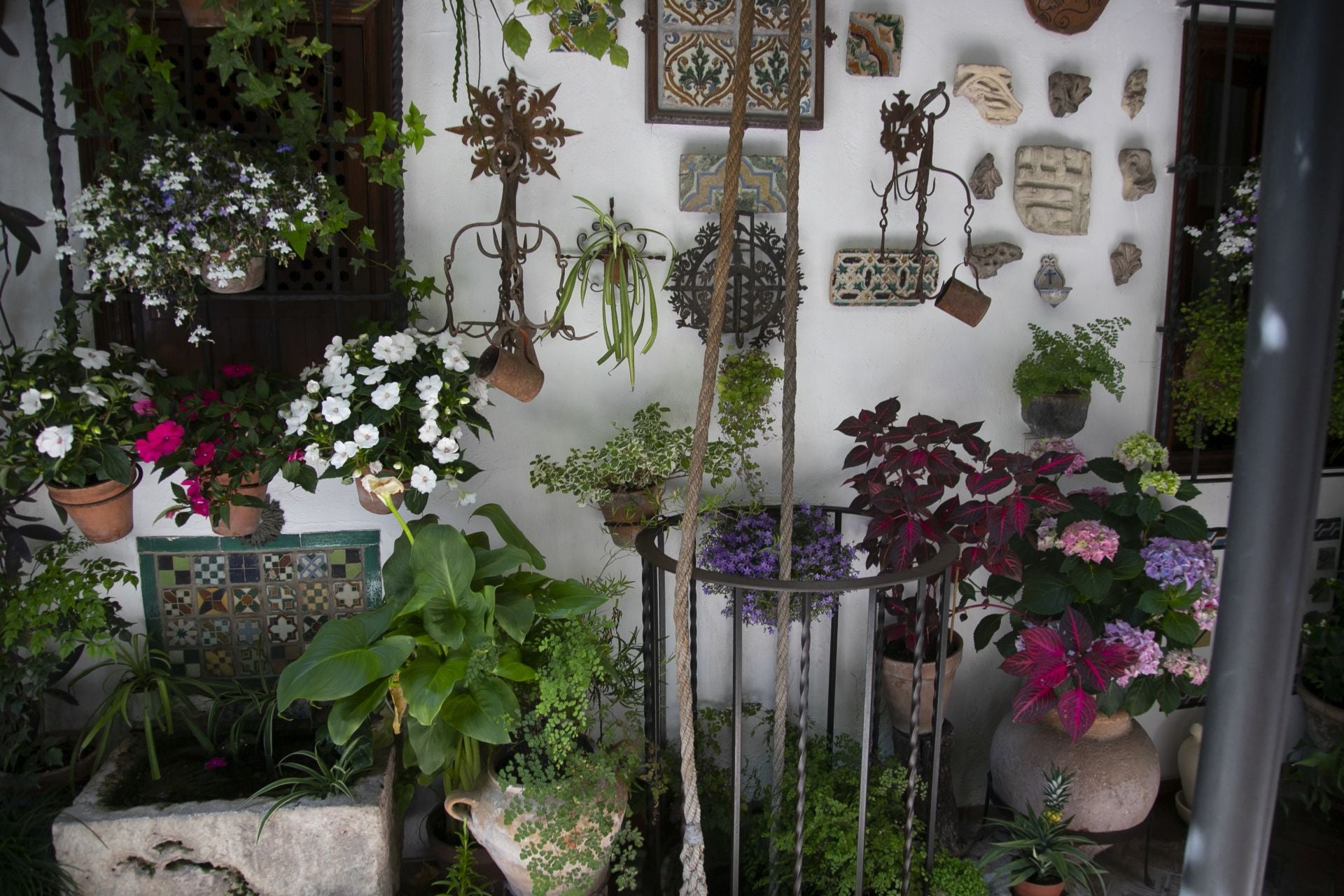 Los detalles más personales de los Patios de Córdoba, en imágenes
