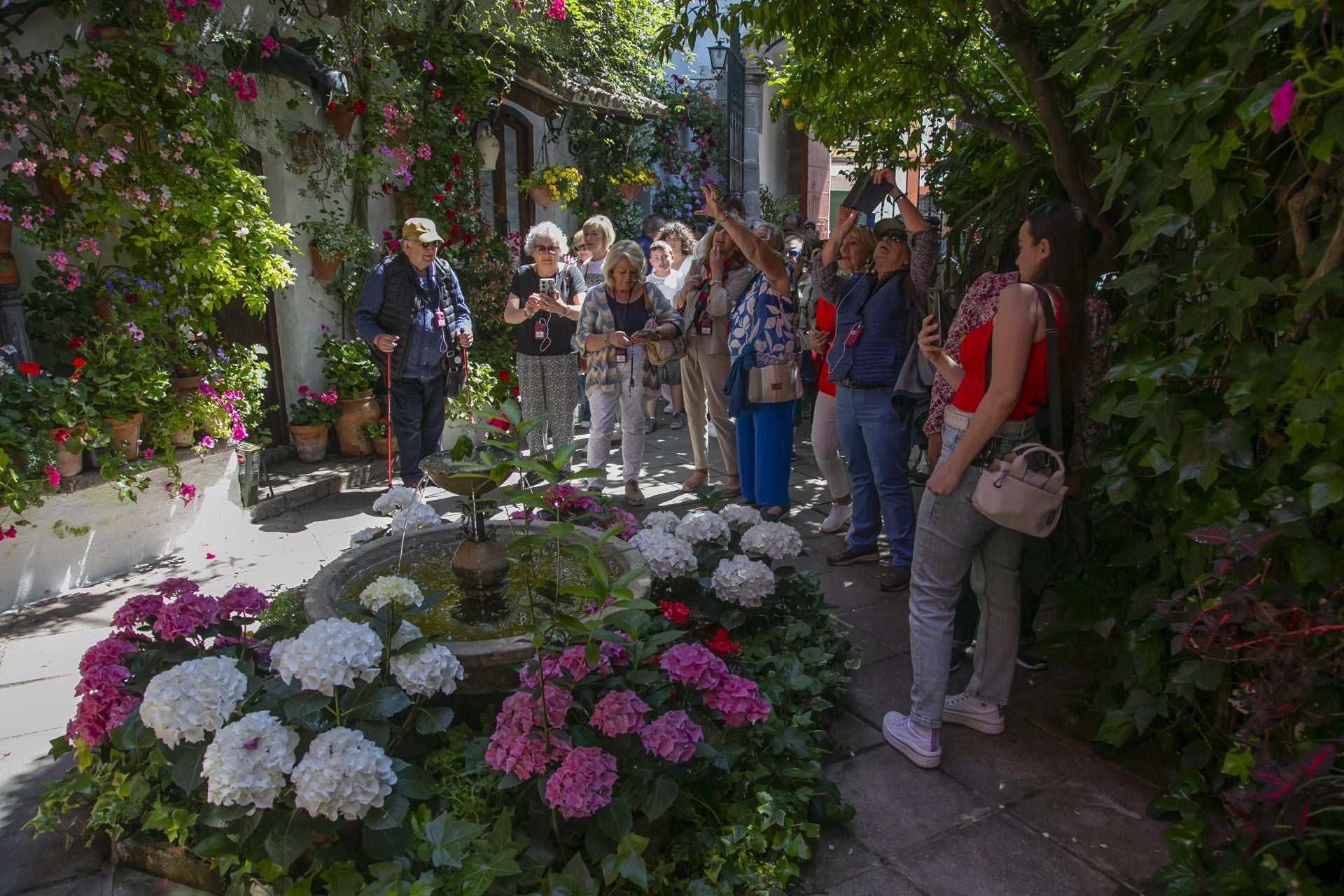 Los detalles más personales de los Patios de Córdoba, en imágenes
