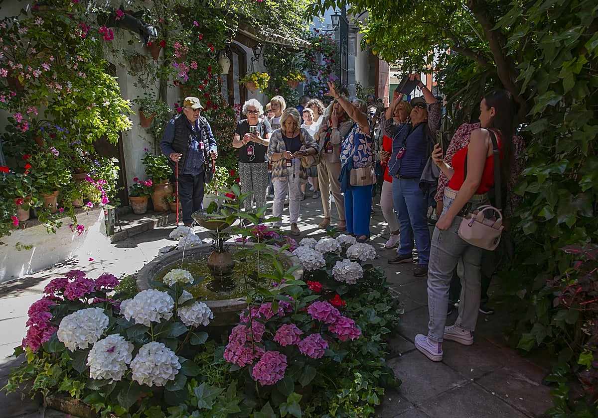 Visitantes en La Palma, 3
