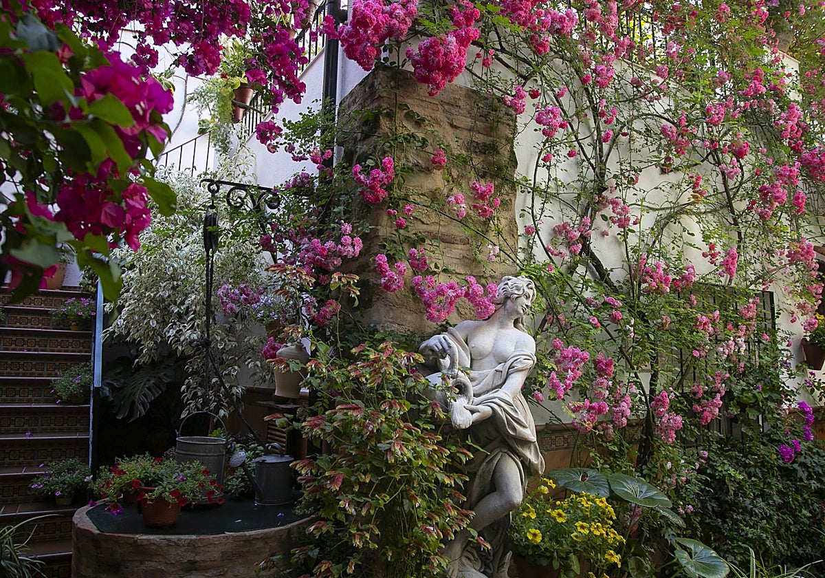 Rosal trepador en Barrionuevo, 43