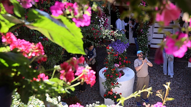 Patio de San Basilio número 44