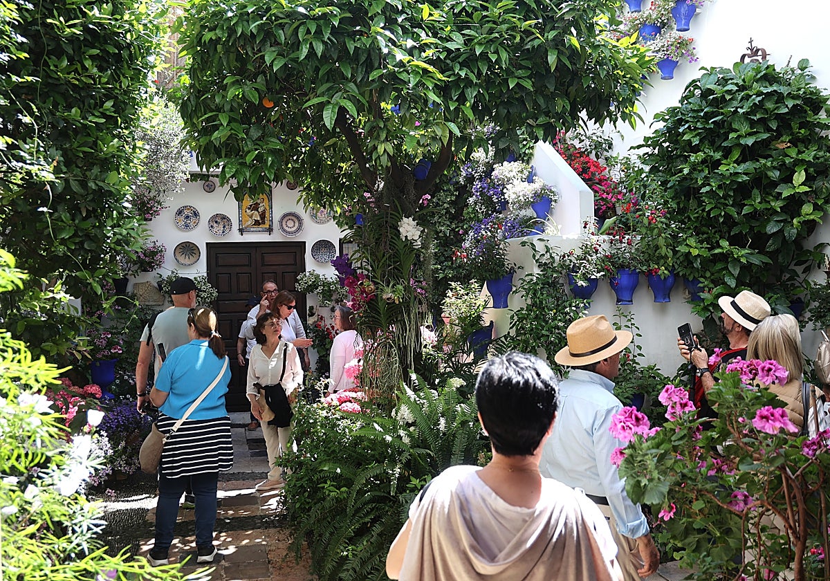 Visitantes del patio de la calle pastoras número 2