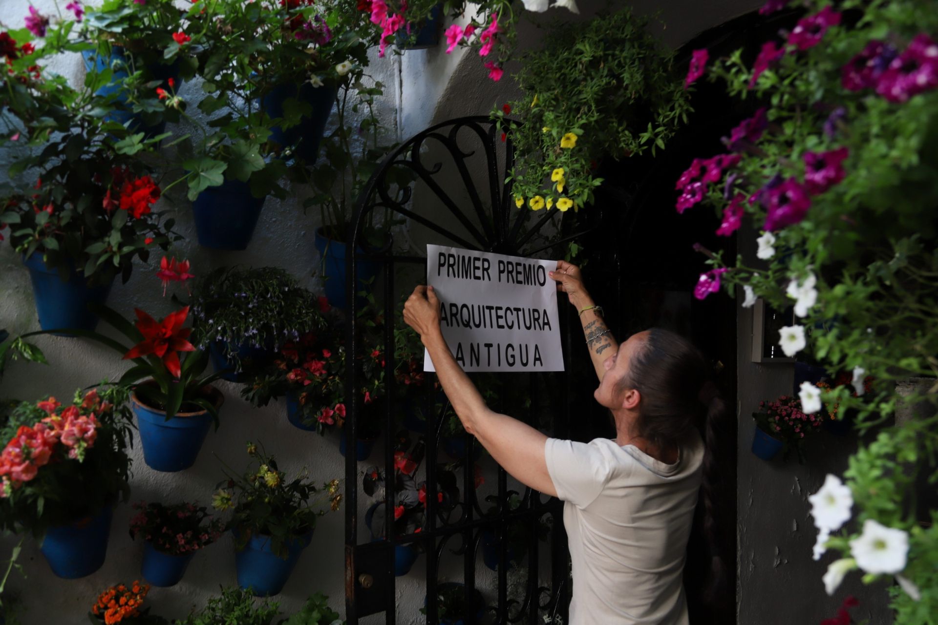 Los Patios de Córdoba ganadores del concurso de 2025, en imágenes