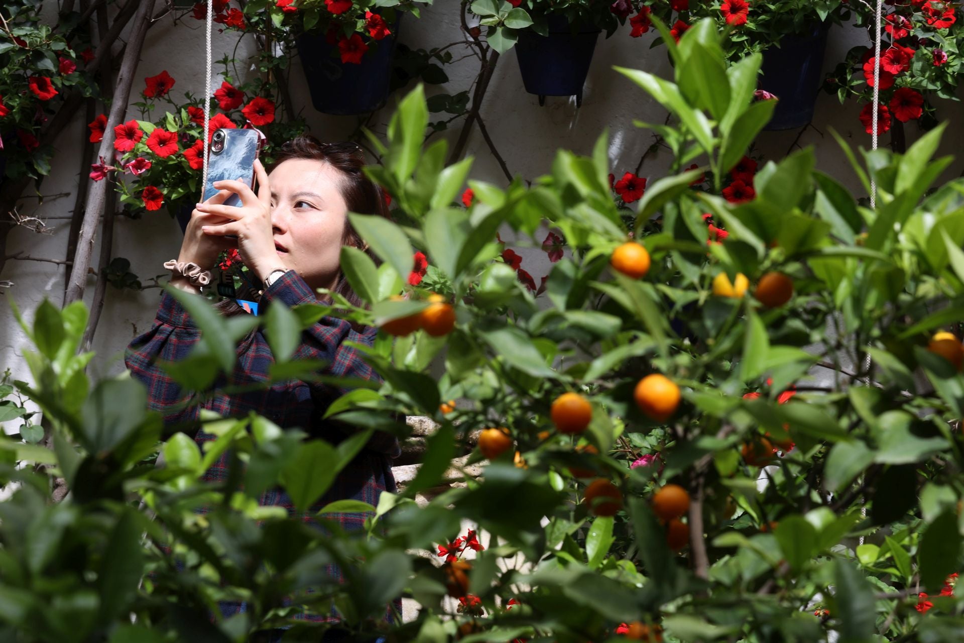 Los Patios de Córdoba ganadores del concurso de 2025, en imágenes