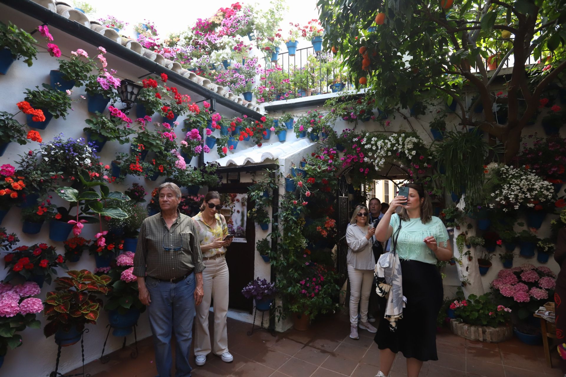 Los Patios de Córdoba ganadores del concurso de 2025, en imágenes