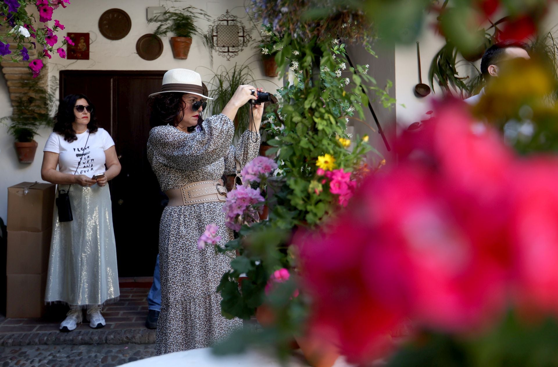 Los Patios de Córdoba ganadores del concurso de 2025, en imágenes