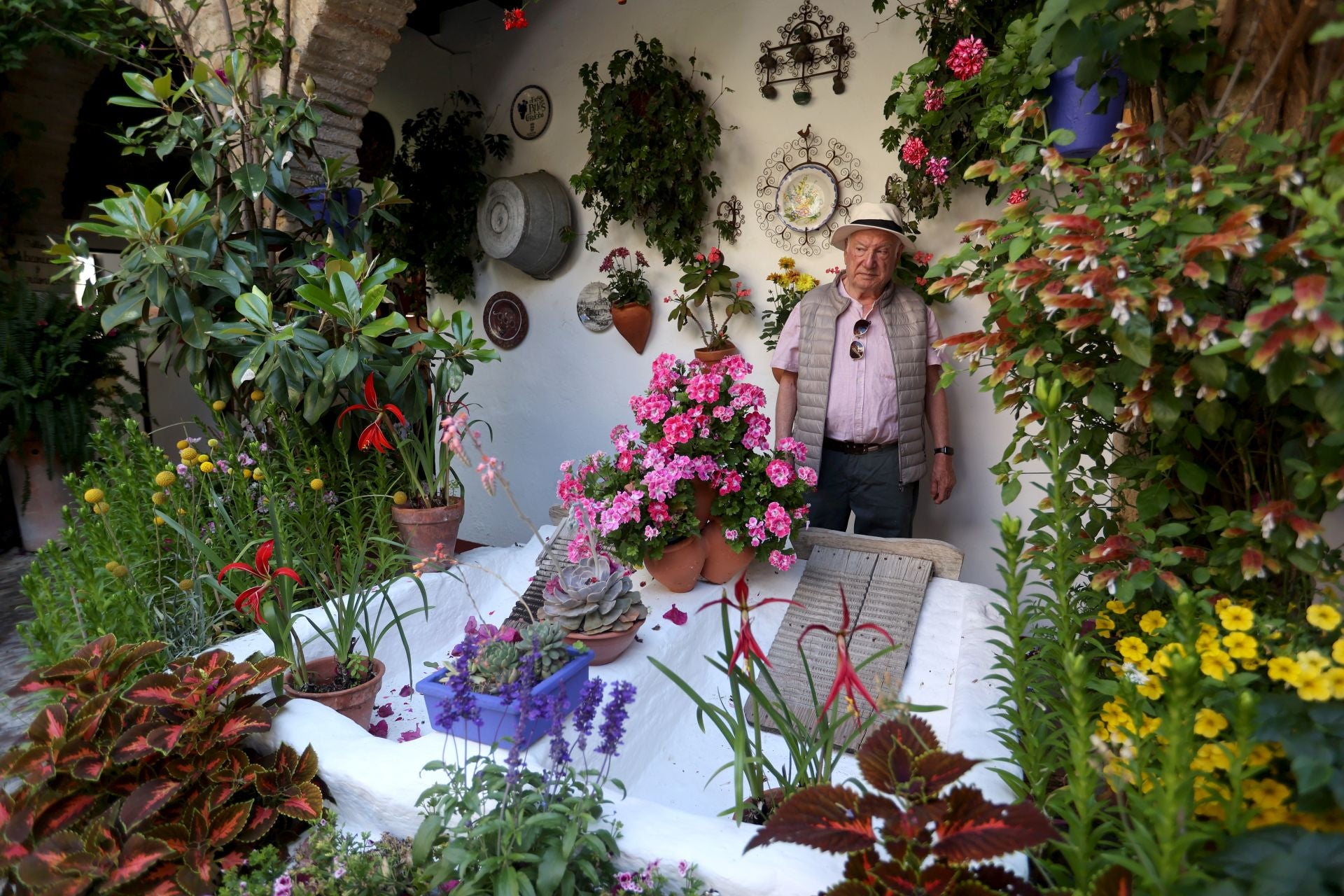 Los Patios de Córdoba ganadores del concurso de 2025, en imágenes