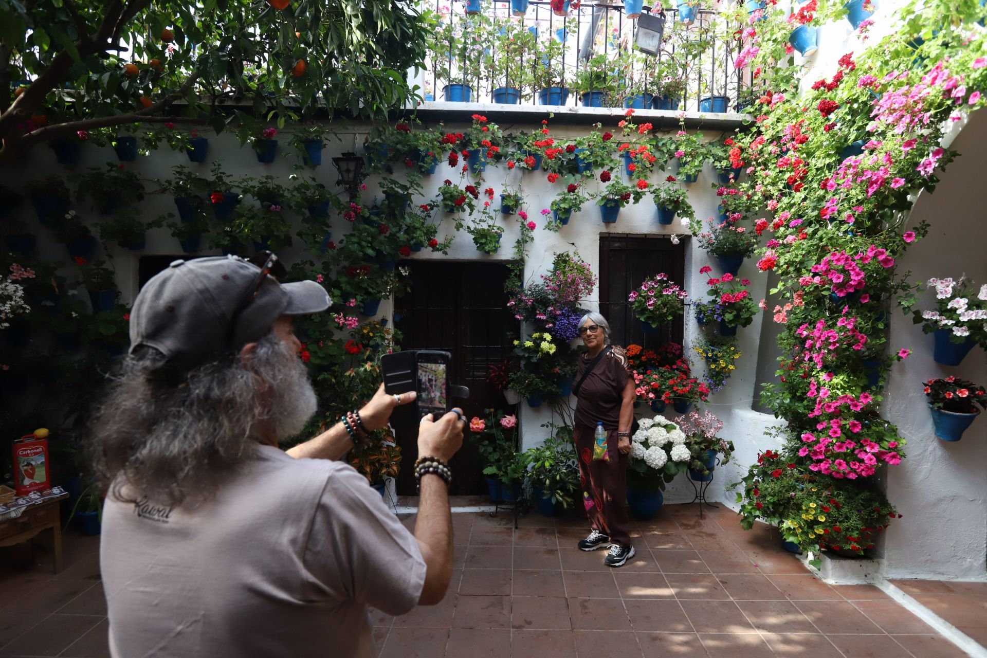 Los Patios de Córdoba ganadores del concurso de 2025, en imágenes