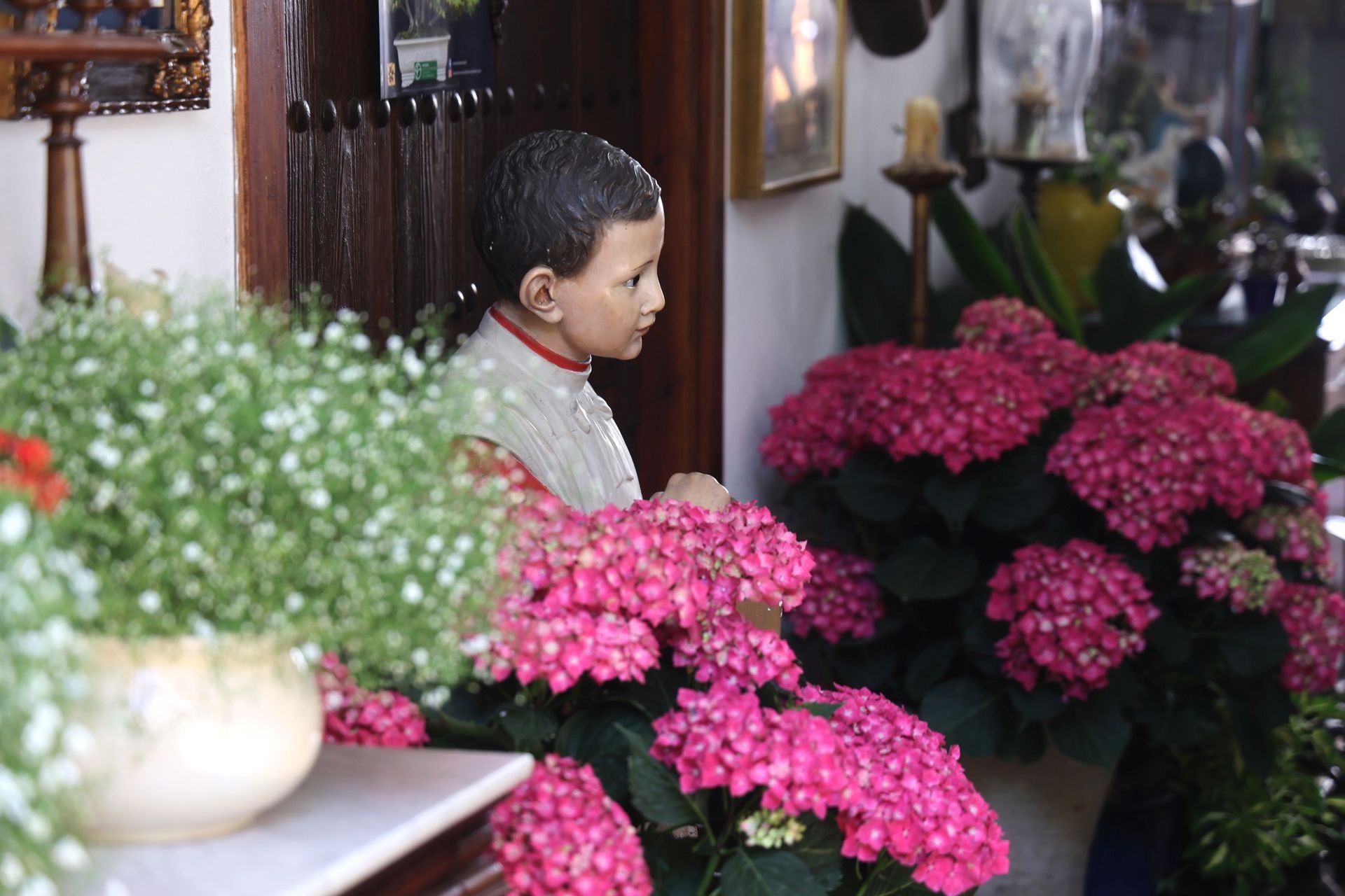 Los Patios de Córdoba ganadores del concurso de 2025, en imágenes