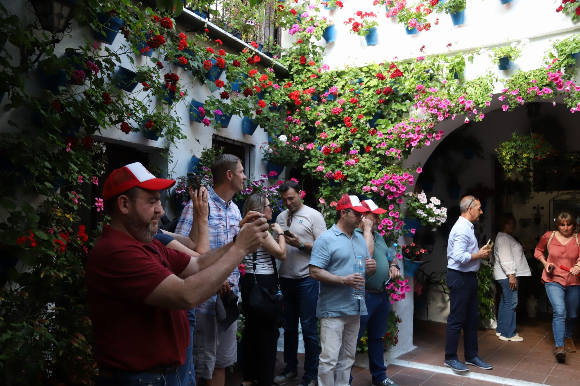 Los Patios de Córdoba ganadores del concurso de 2025, en imágenes