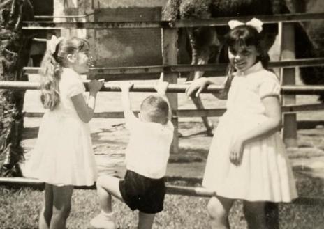 Imagen secundaria 1 - Imágenes del álbum familiar de la familia Llopiz Fraile