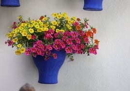 Las macetas con forma de copa o campana: un recuerdo antiguo de los Patios de Córdoba