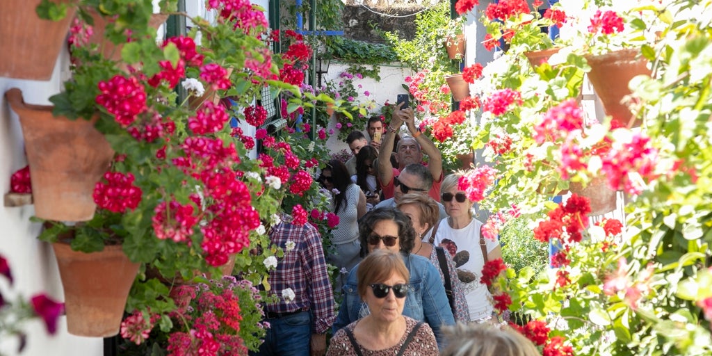 Ambientazo en el último sábado de Patios de Córdoba: «Notas que vive gente, no es algo que hagan para los turistas»