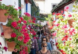 Ambientazo en el último sábado de Patios de Córdoba: «Notas que vive gente, no es algo que hagan para los turistas»