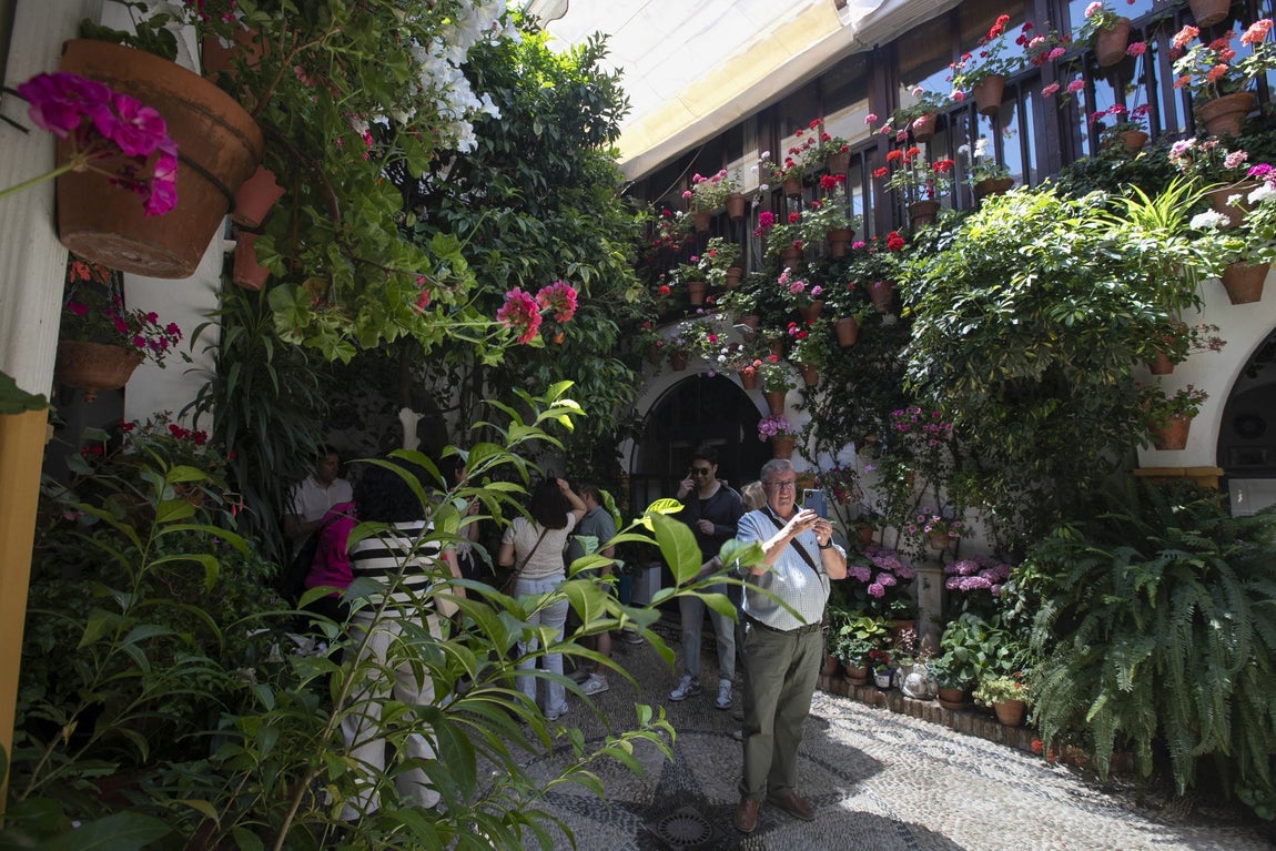 Los espectaculares Patios de Santa Marina y San Lorenzo, en imágenes