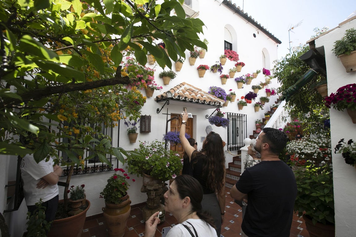 Los espectaculares Patios de Santa Marina y San Lorenzo, en imágenes