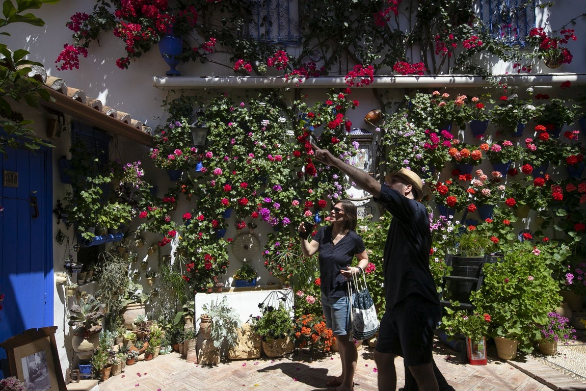 Los espectaculares Patios de Santa Marina y San Lorenzo, en imágenes