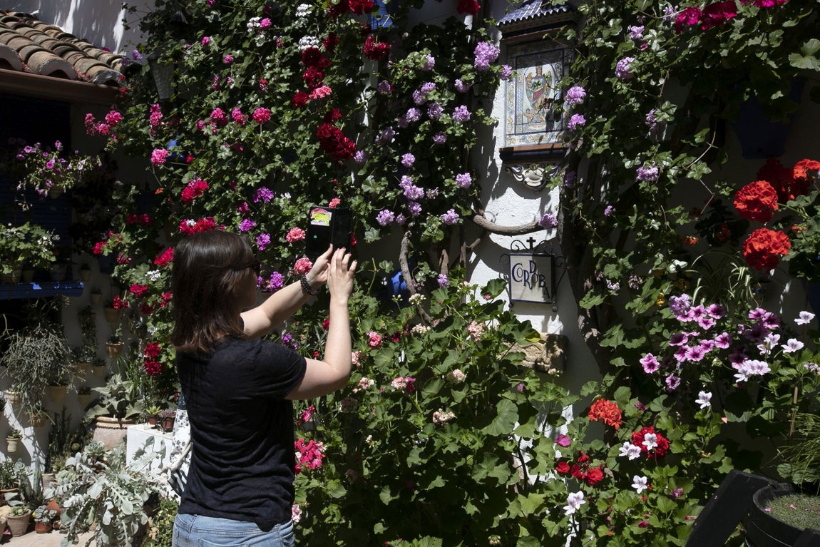 Los espectaculares Patios de Santa Marina y San Lorenzo, en imágenes