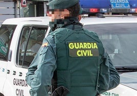 Agentes de la Guardia Civil acudieron al lugar del suceso, pero no pudieron hacer nada