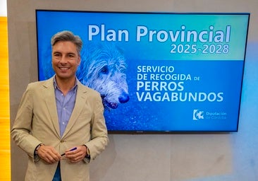 Luz verde al plan de recogida de perros vagabundos en 61 municipios