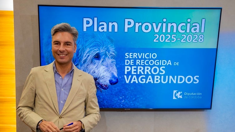 Luz verde al plan de recogida de perros vagabundos del que se beneficiarán un total de 61 municipios