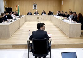 'Caso saqueo Córdoba CF': Fiscalía rebaja un año la petición de pena de prisión para Jesús León y medio año a su esposa