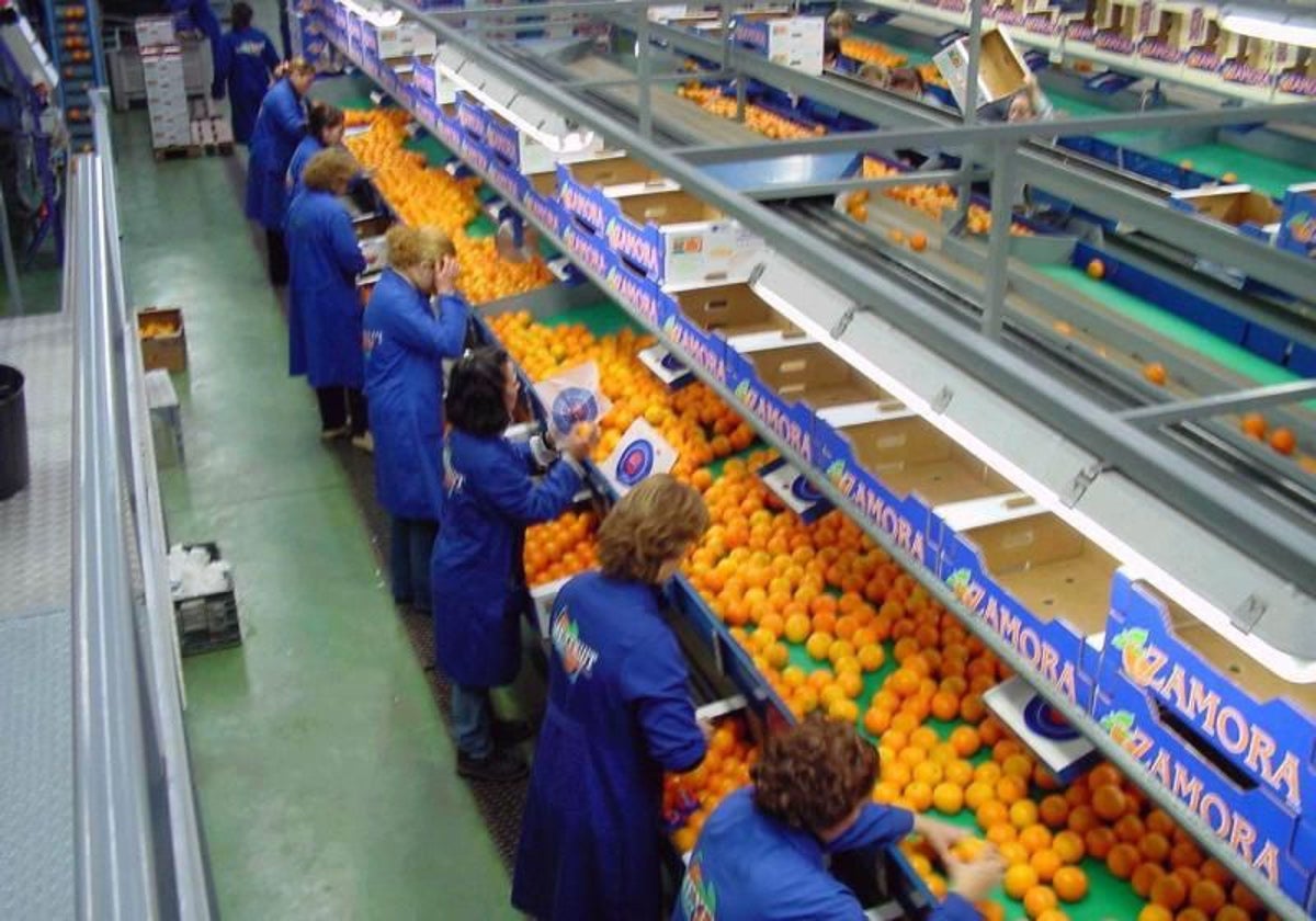 Imagen de archivo de una cooperativa agrícola en el Valle del Guadalquivir