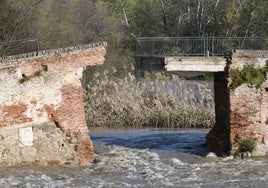 Gregorio y Urtasun abordan este martes la  reconstrucción del puente viejo de Talavera
