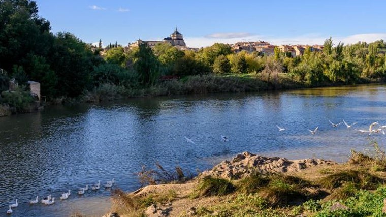 Tras las abundantes lluvias de las últimas semanas pareciera que el río discurre más limpio a su paso por Toledo
