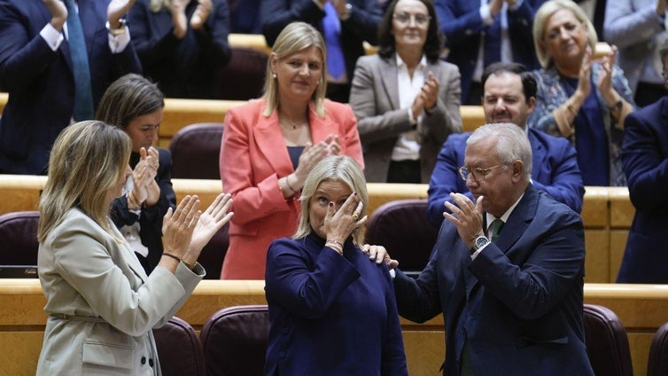 El PSOE muestra su rechazo en el Senado a la ley para que etarras no arrepentidos no vayan en listas