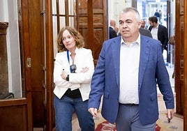 Cerdán reconoce haber hecho consultas sobre obras públicas, pero niega que sean «constitutivas de delito»