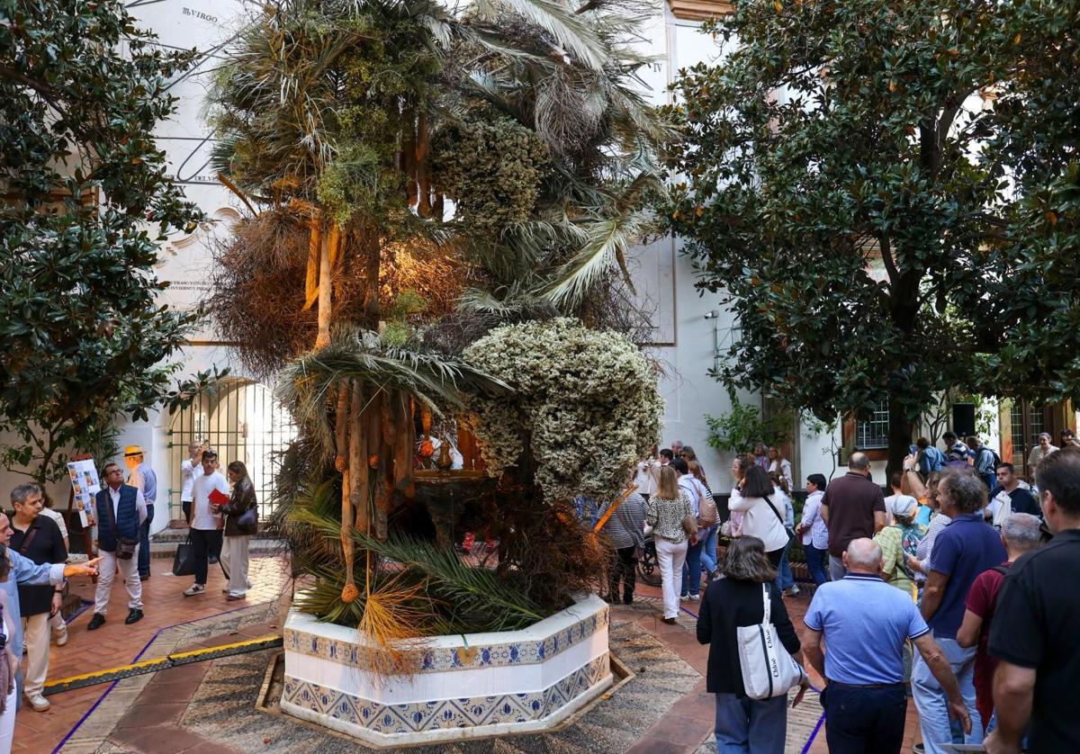 Instalación de Flora el año pasado