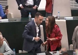 Un edil del PSOE denuncia un comentario «homófobo» de Andrea Levy: «Ha dicho que interviniera desde una sauna»