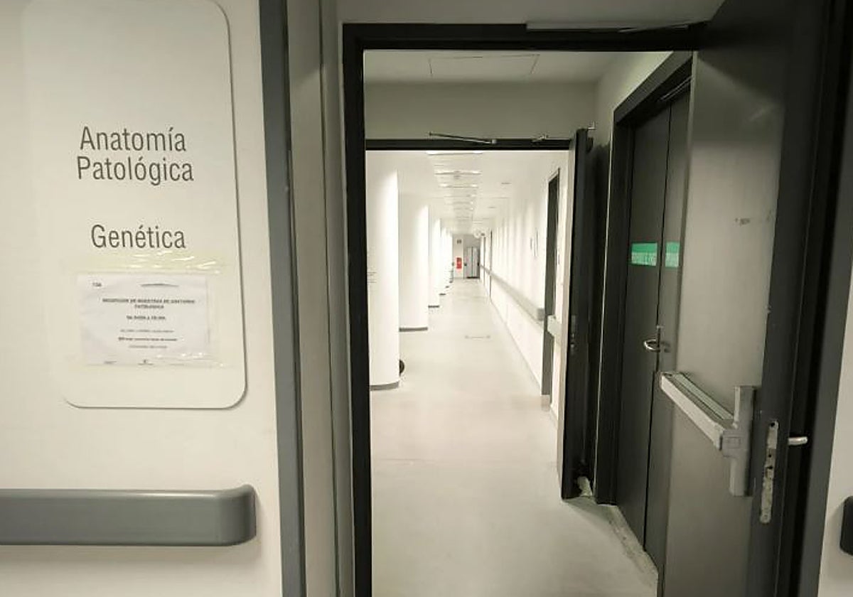 Acceso al Laboratorio de Anatomía Patológica y Genética del hospital de Toledo