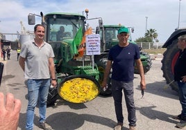 Los agricultores se rebelan contra el arroz importado: «Que dejen de alardear de valencianía»