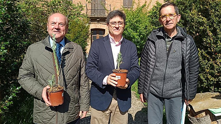 Longás, Calvo y Gómez, con la planta reintroducida.